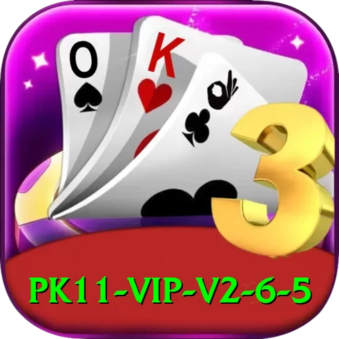 pk11 VIP v2.6.5 - 2